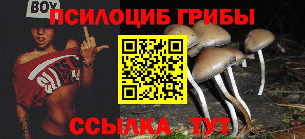 Туапсе  Псилоцибиновые грибы мицелий  Вход с VPN  Псилоцибиновые грибы ЛСД 
